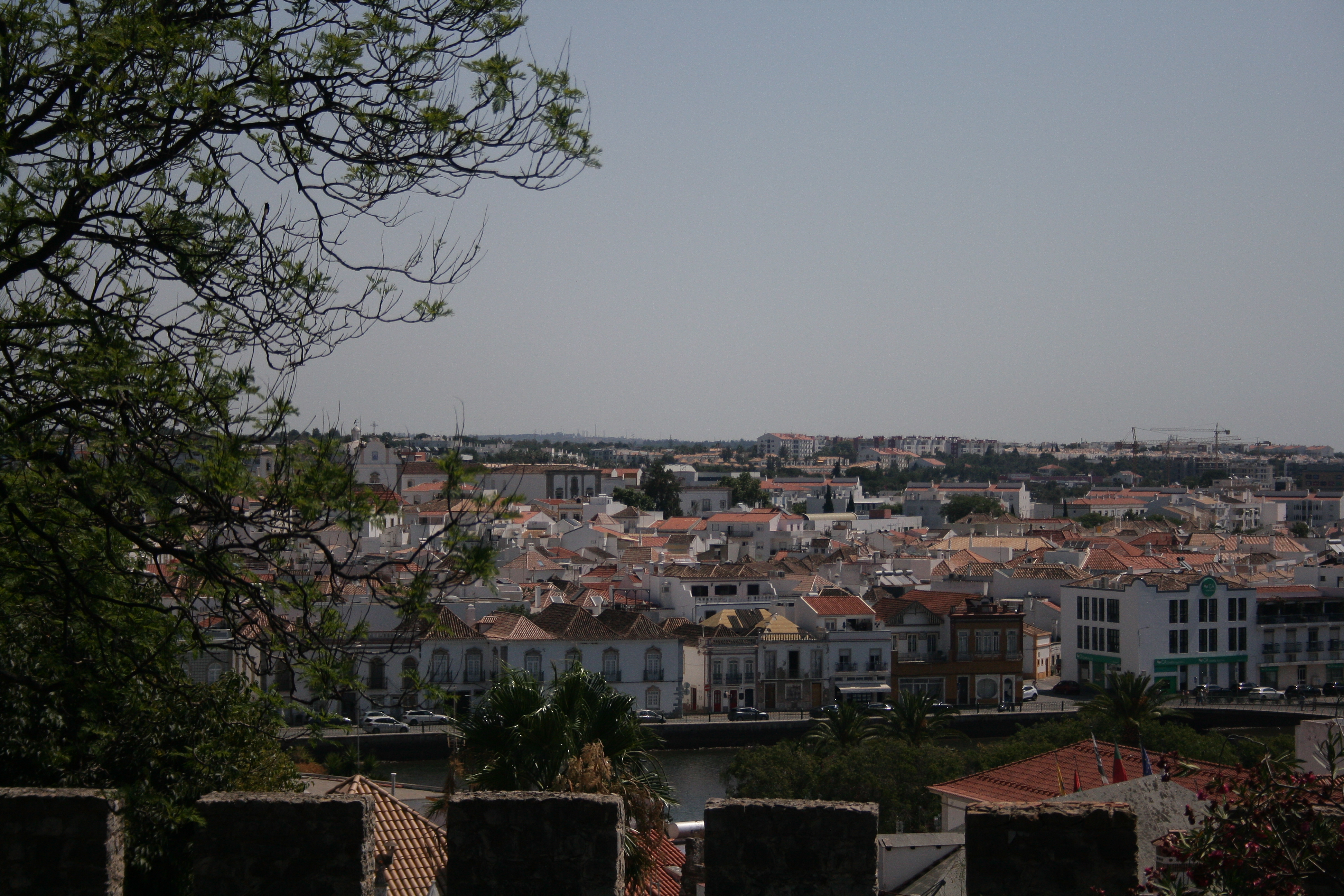 Village Rooftops